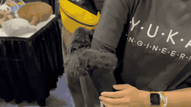 640.gif