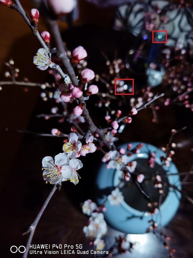 掌中黑卡+三元 华为P40 Pro覆盖拍摄全场景