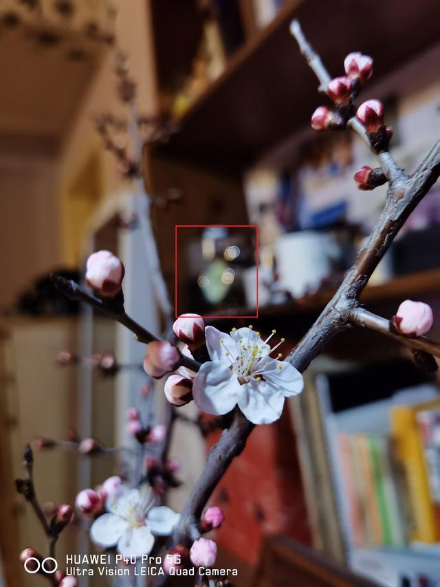 掌中黑卡+三元 华为P40 Pro覆盖拍摄全场景